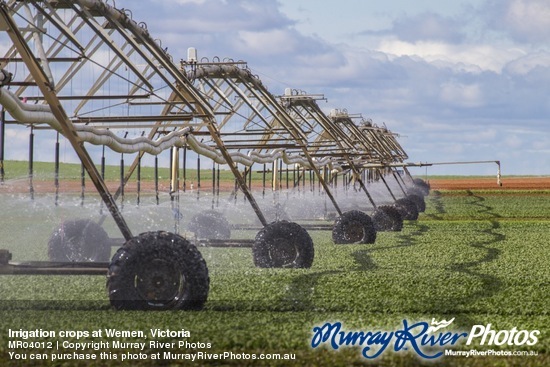 Irrigation crops at Wemen, Victoria