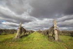 Old vineyards at Wemen, Victoria