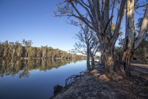 Murray River at Robinvale