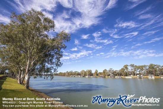 Murray River at Berri, South Australia