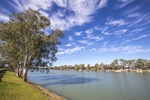Murray River at Berri, South Australia
