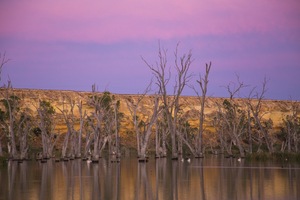 First light sunrise at Blanchetown