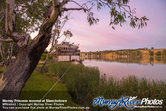 Murray Princess moored at Blanchetown