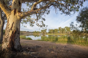 Holder Bend at Waikerie