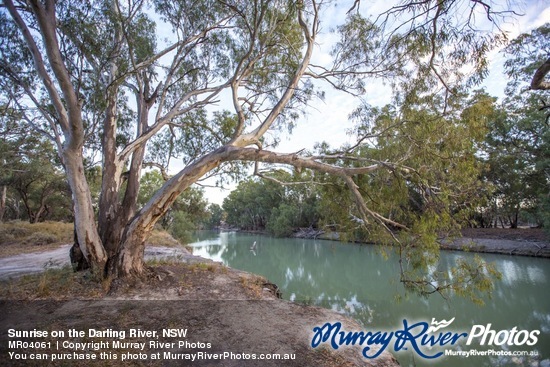 Sunrise on the Darling River, NSW