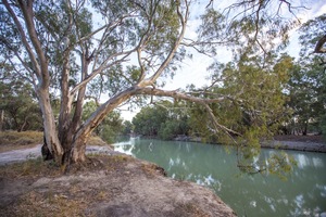 Sunrise on the Darling River, NSW