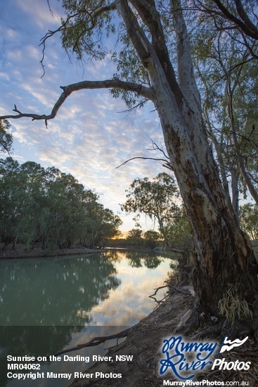 Sunrise on the Darling River, NSW