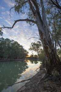 Sunrise on the Darling River, NSW
