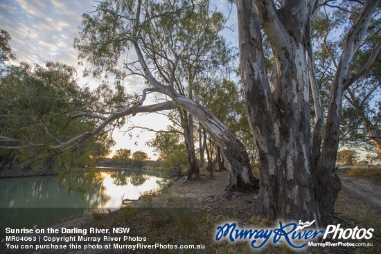 Sunrise on the Darling River, NSW