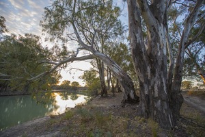 Sunrise on the Darling River, NSW