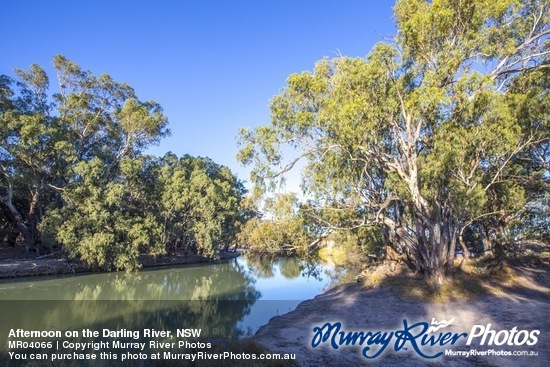 Afternoon on the Darling River, NSW