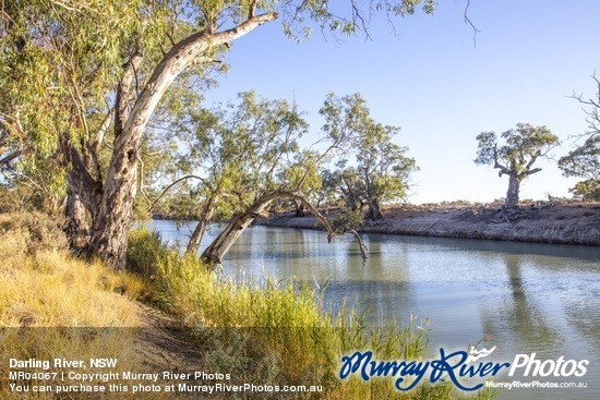 Darling River, NSW