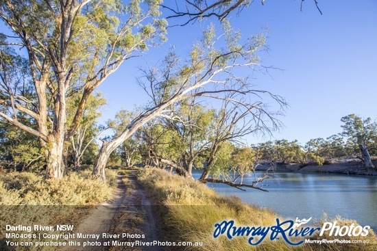 Darling River, NSW