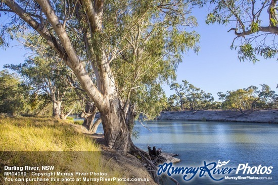 Darling River, NSW