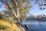 Darling River, NSW