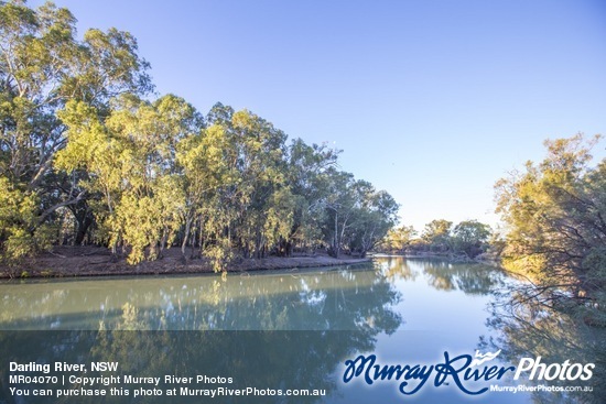 Darling River, NSW