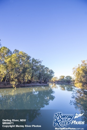 Darling River, NSW