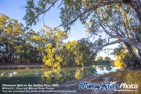 Afternoon light on the Darling River, NSW