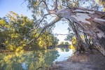 Afternoon light on the Darling River, NSW