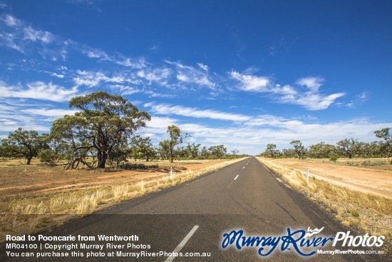 Road to Pooncarie from Wentworth