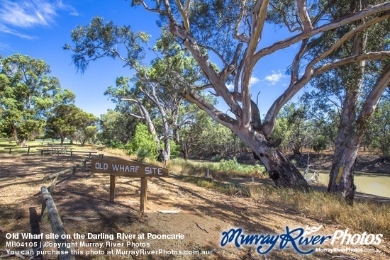 Old Wharf site on the Darling River at Pooncarie