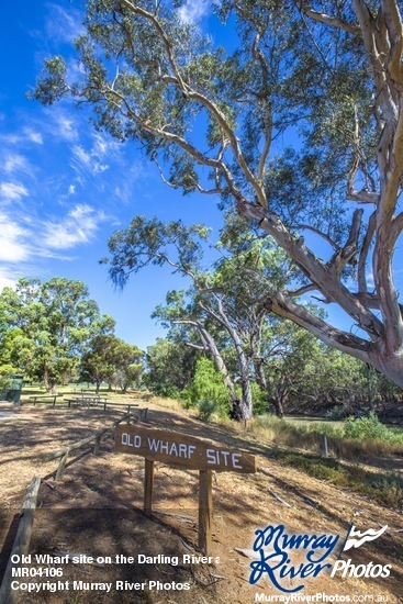 Old Wharf site on the Darling River at Pooncarie