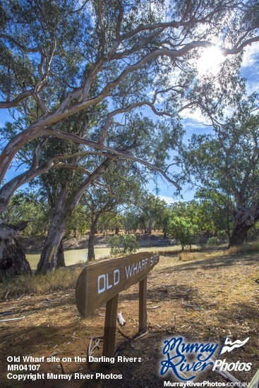 Old Wharf site on the Darling River at Pooncarie