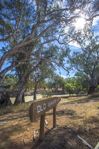 Old Wharf site on the Darling River at Pooncarie