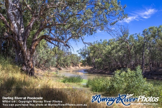 Darling River at Pooncarie