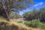 Darling River at Pooncarie