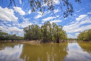 Murray River at Boundary Bend, Victoria