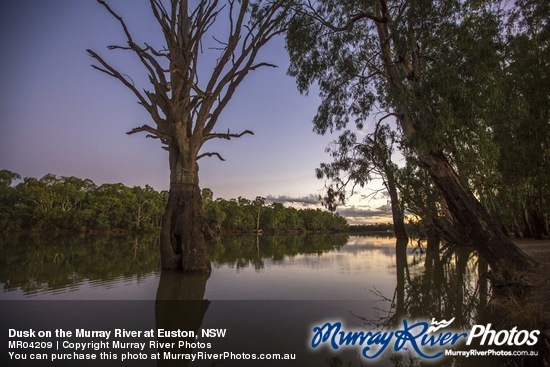 Dusk on the Murray River at Euston, NSW