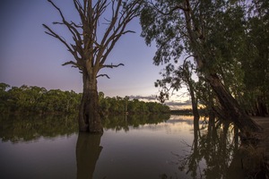 Dusk on the Murray River at Euston, NSW