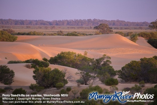 Perry Sandhills on sunrise, Wentworth NSW