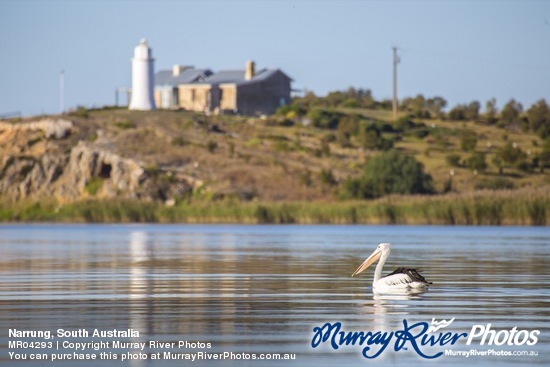 Narrung, South Australia