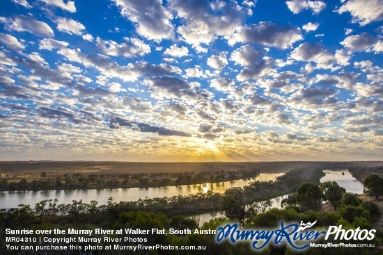 Sunrise over the Murray River at Walker Flat, South Australia