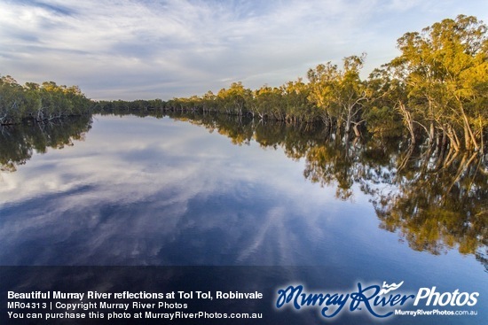 Beautiful Murray River reflections at Tol Tol, Robinvale