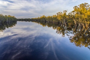 Beautiful Murray River reflections at Tol Tol, Robinvale