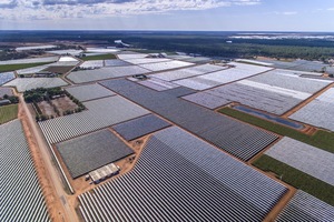 The vineyards of table grapes in Robinvale