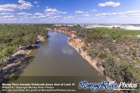 Murray River towards Robinvale down river of Lock 15
