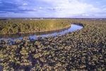 Euston Reserve in late afternoon, NSW