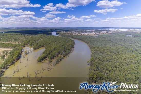 Murray River looking towards Robivale