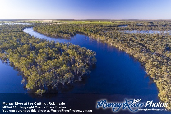 Murray River at the Cutting, Robinvale