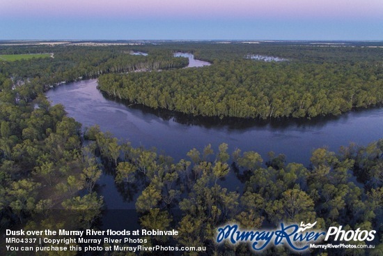 Dusk over the Murray River floods at Robinvale