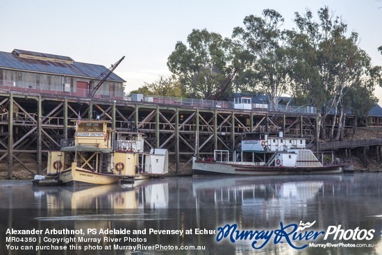 Alexander Arbuthnot, PS Adelaide and Pevensey at Echuca