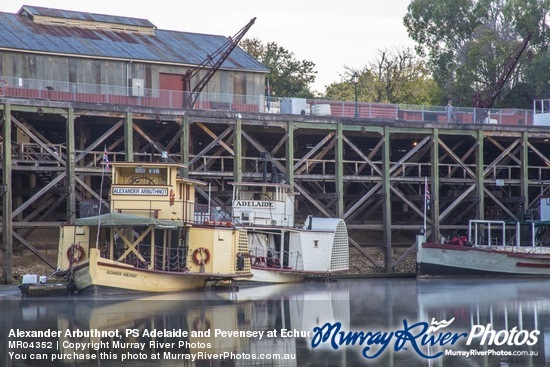 Alexander Arbuthnot, PS Adelaide and Pevensey at Echuca