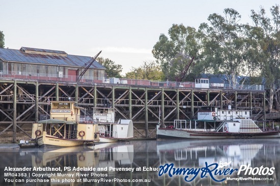 Alexander Arbuthnot, PS Adelaide and Pevensey at Echuca