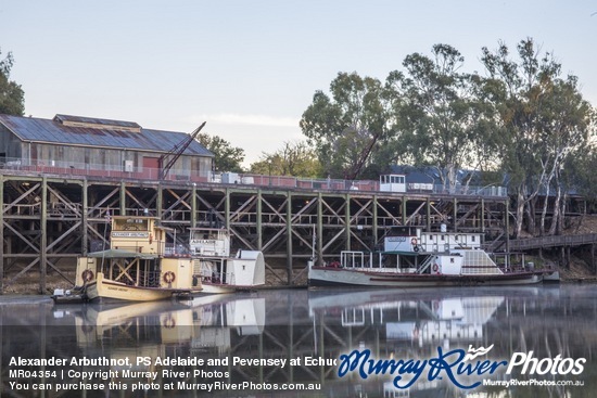 Alexander Arbuthnot, PS Adelaide and Pevensey at Echuca