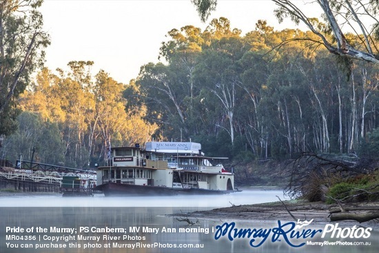 Pride of the Murray; PS Canberra; MV Mary Ann morning in Echuca