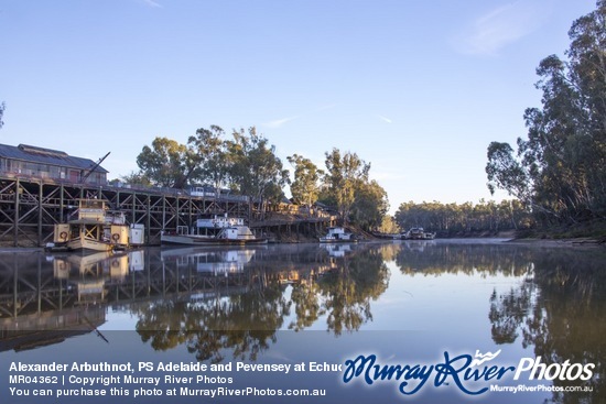 Alexander Arbuthnot, PS Adelaide and Pevensey at Echuca